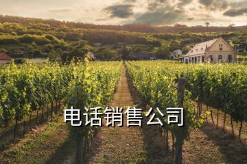 電話銷售公司