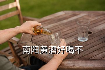 南陽黃酒好喝不