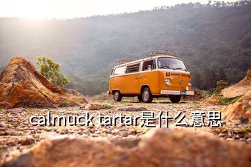 calmuck tartar是什么意思