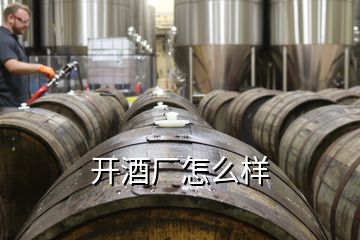 開酒廠怎么樣