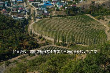 如果要做白酒貼牌給推薦個(gè)有實(shí)力市場(chǎng)前景比較好的廠家