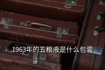 1963年的五糧液是什么包裝