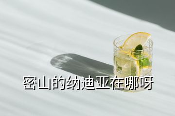 密山的納迪亞在哪呀
