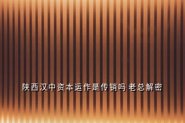 陜 西 漢 中 資 本 運 作 是 傳 銷 嗎  老 總 解 密