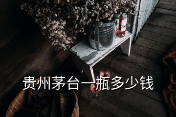 貴州茅臺(tái)一瓶多少錢