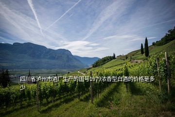 四川省瀘州市酒廠生產(chǎn)的國號1979濃香型白酒的價格是多少