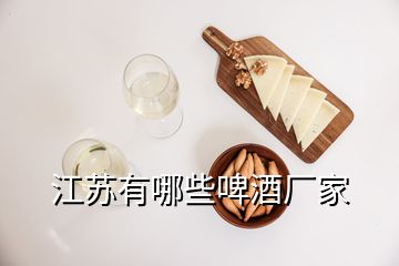 江蘇有哪些啤酒廠家