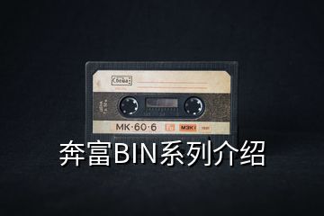 奔富BIN系列介紹