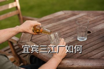 宜賓三江廠如何