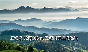 五糧液 52度500ml 五糧國賓酒好喝嗎