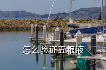 怎么驗(yàn)證五糧液