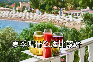 夏季喝什么酒比較好