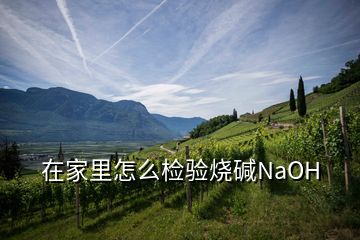 在家里怎么檢驗燒堿NaOH