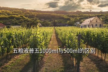 五糧液普五1000ml與500ml的區(qū)別