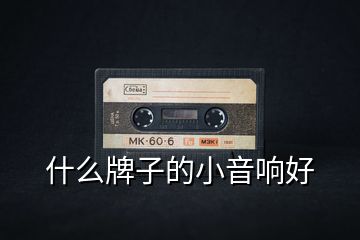 什么牌子的小音響好