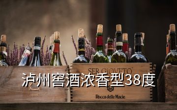 瀘州窖酒濃香型38度