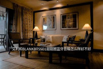 艾利和BLANKBTSSD1甜甜圈藍(lán)牙音箱怎么樣好不好