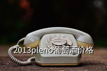 2013pleno葡萄酒價格