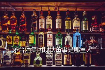 矛臺酒集團現(xiàn)認董事是哪里人