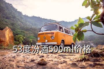 53度汾酒500ml價格