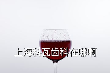上?？仆啐X科在哪啊