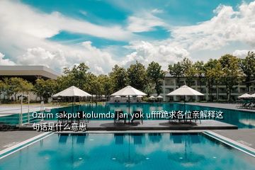 Ozum sakput kolumda jan yok uffff跪求各位親解釋這句話是什么意思