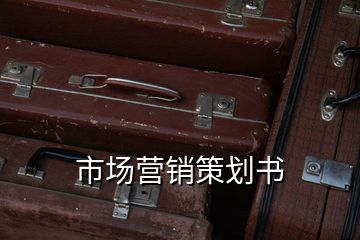 市場(chǎng)營(yíng)銷(xiāo)策劃書(shū)