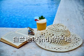 白蘭地Brandy的產(chǎn)地