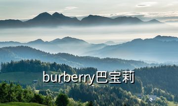 burberry巴寶莉