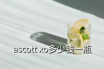 ascott xo多少錢一瓶