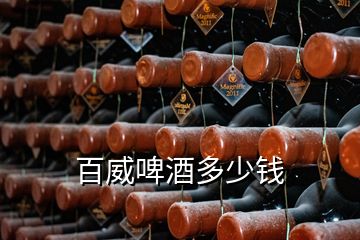 百威啤酒多少錢(qián)