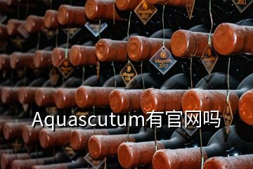 Aquascutum有官網(wǎng)嗎