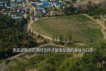 用高粱釀造白酒時(shí)怎樣才能增加酒的香味與口感