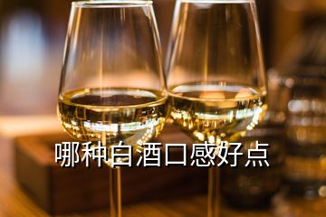 哪種白酒口感好點(diǎn)