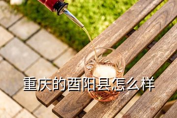 重慶的酉陽(yáng)縣怎么樣