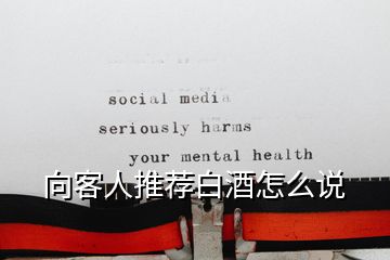 向客人推薦白酒怎么說