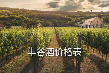 豐谷酒價(jià)格表