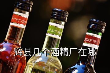 輝縣幾個酒精廠在哪