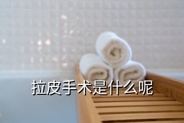 拉皮手術(shù)是什么呢