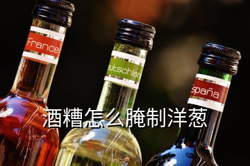 酒糟怎么腌制洋蔥