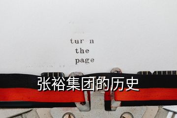 張?jiān)＜瘓F(tuán)的歷史