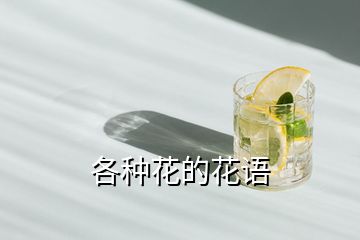 各種花的花語(yǔ)