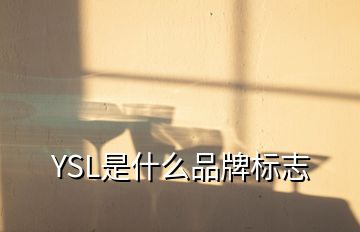 YSL是什么品牌標志