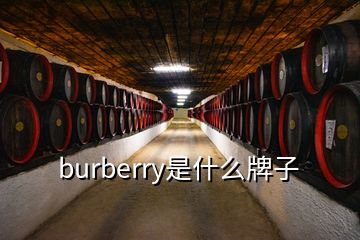 burberry是什么牌子