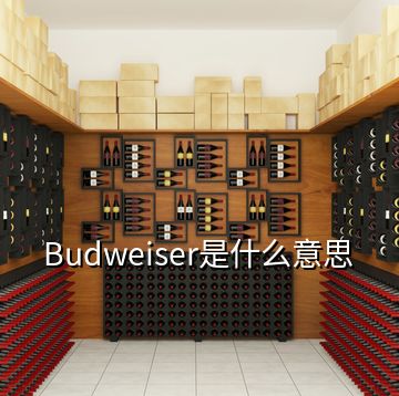 Budweiser是什么意思