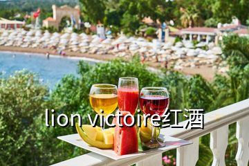 lion victoire紅酒