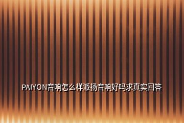 PAIYON音響怎么樣派揚音響好嗎求真實回答