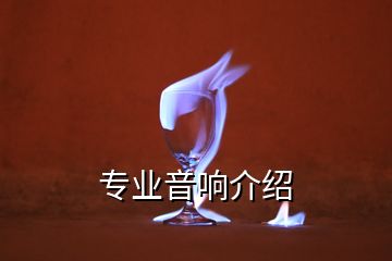 專(zhuān)業(yè)音響介紹