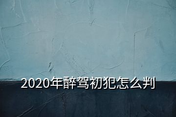 2020年醉駕初犯怎么判