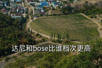 達(dá)尼和bose比誰檔次更高